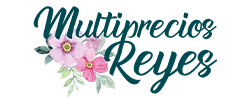 Multiservicios Reyes